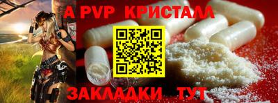 шишки Новокубанск