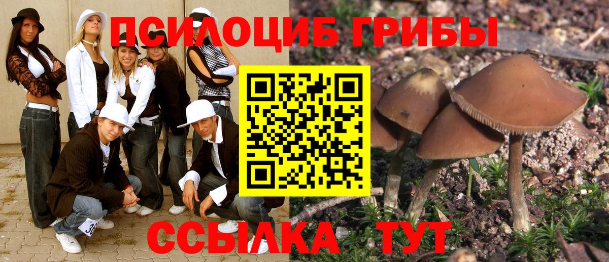 Галлюциногенные грибы Magic Shrooms  закладки  Феодосия  Вход с VPN 